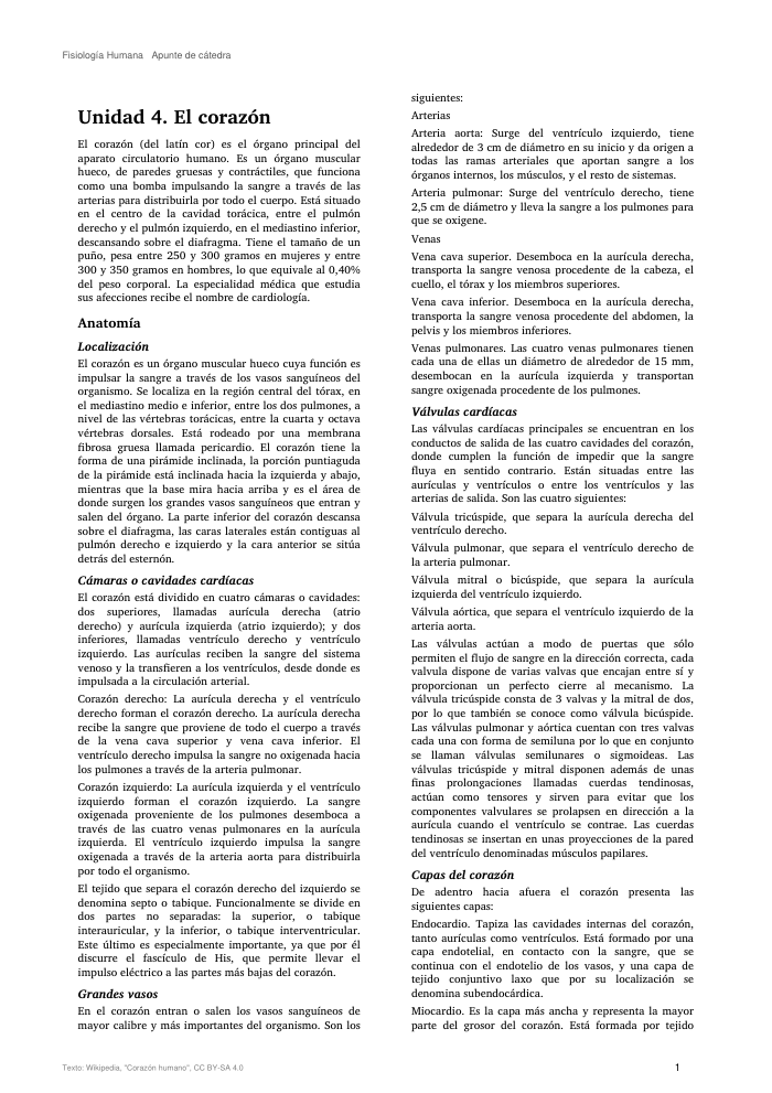 Una página de apunte a dos columnas